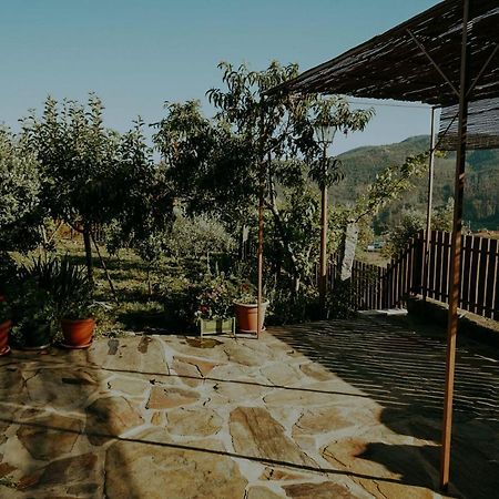فيلا Casa Da Eira اروكا المظهر الخارجي الصورة